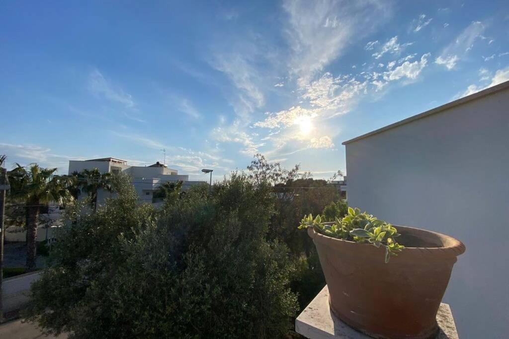 Villa Fiorella Porto Cesareo Primo Piano 2 Locali Eksteriør bilde