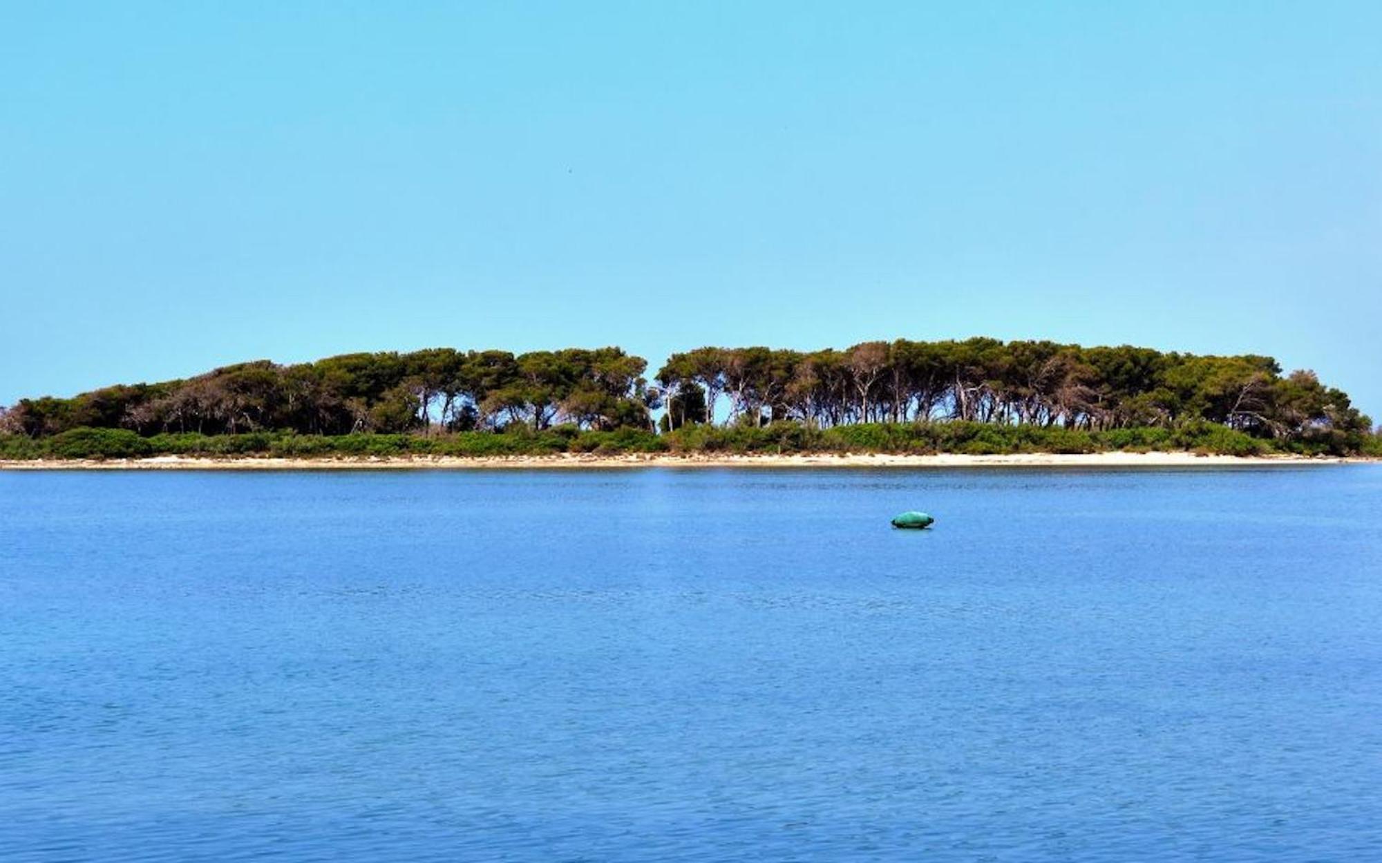 Villa Fiorella Porto Cesareo Primo Piano 2 Locali Eksteriør bilde